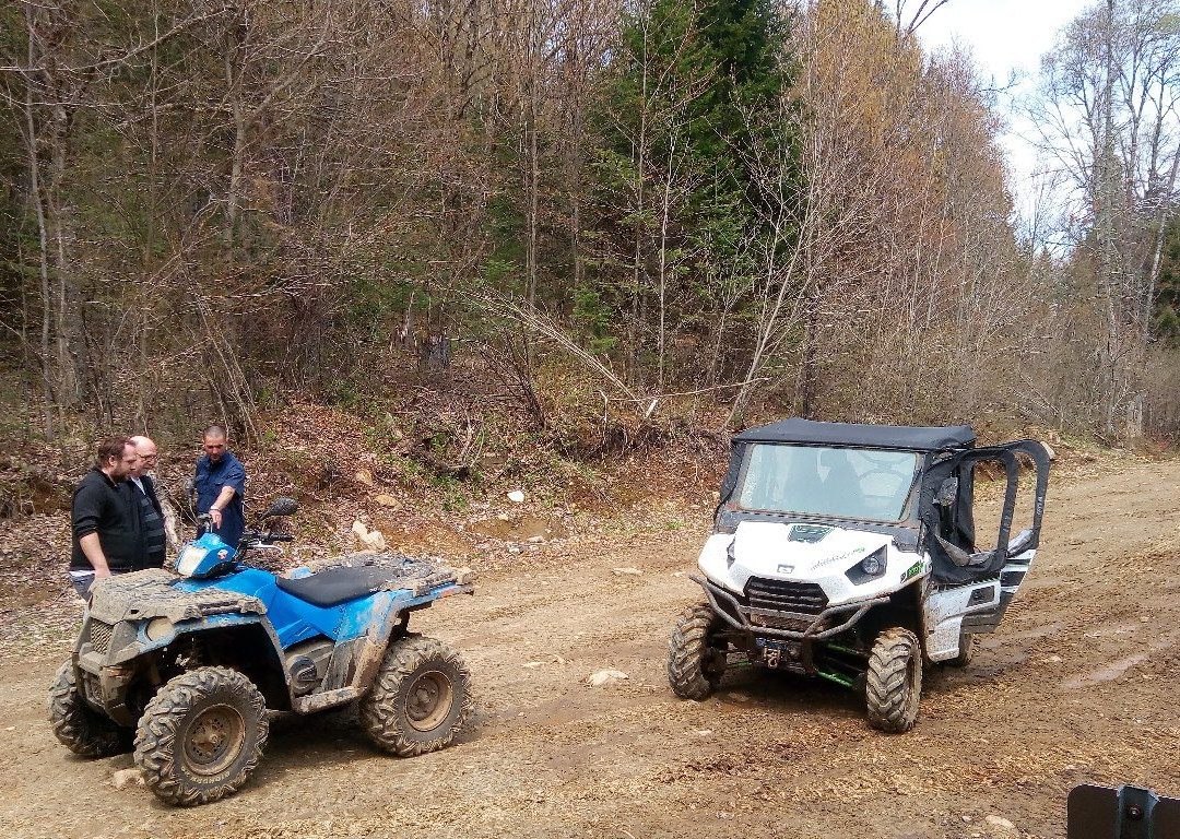 Dune Buggy Guided Tours-Labelle必去景点