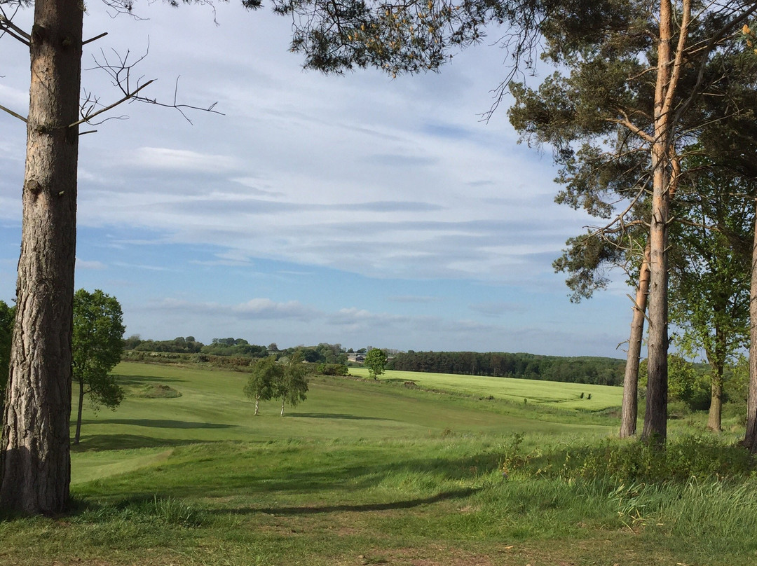 Middlesbrough Golf Club景点图片