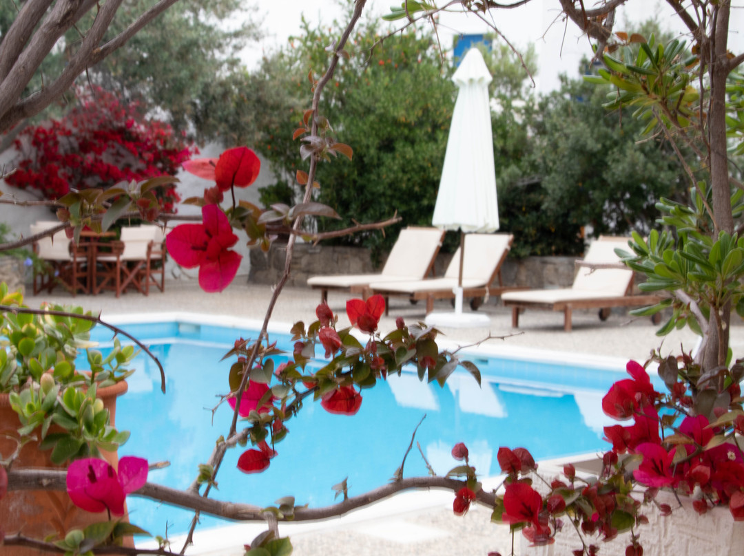 Andromeda Residence主图