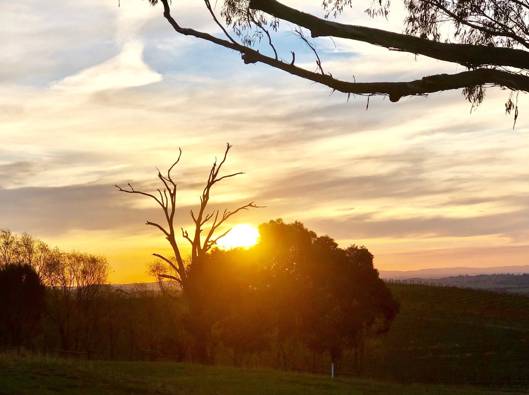Wine Tours Victoria-墨尔本必去景点