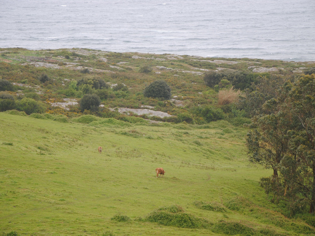 Posada Rural Punta Linera主图