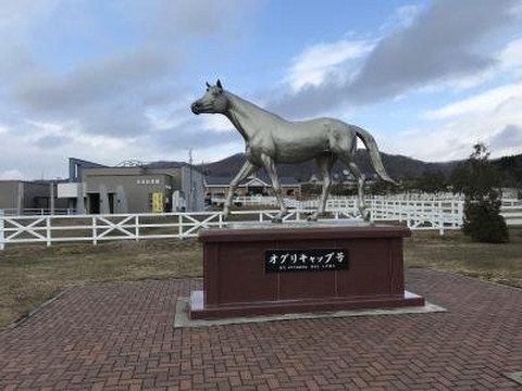 Yushun Memorial Park-新冠町必去景点