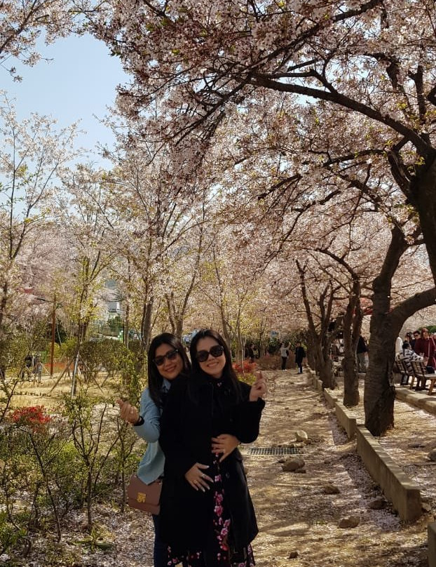 Gyeongsam Gamyeong Park-大邱必去景点