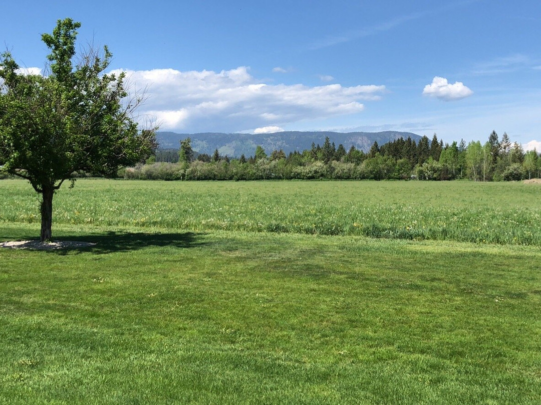 Noble House Bed & Breakfast主图