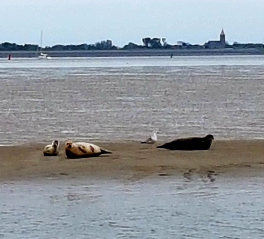 SWRW-Den Oever必去景点