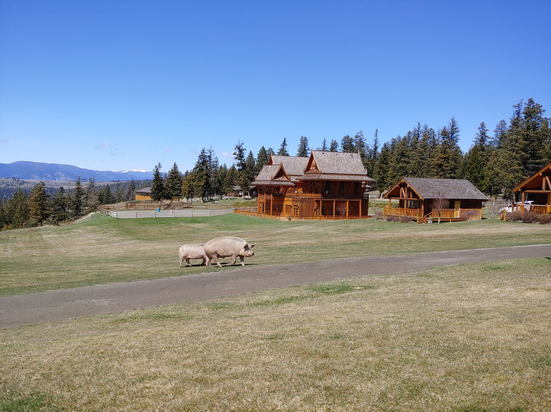 回音谷牧场 Spa 度假村主图