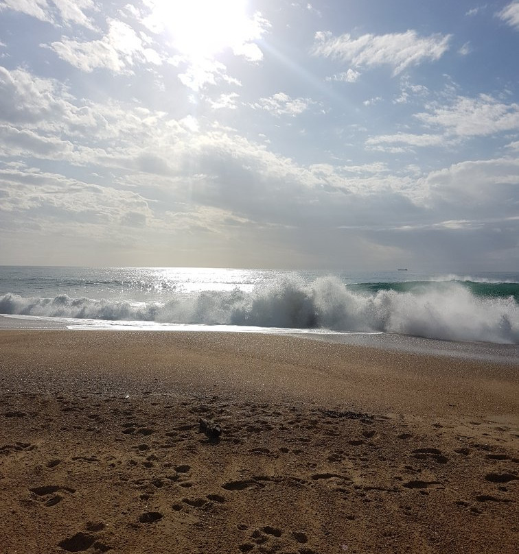 Beach of Tarnos-Tarnos必去景点