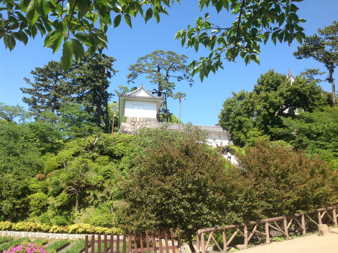 小田原城景点图片