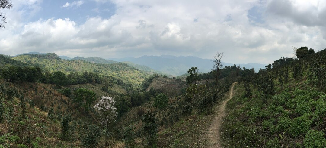 Mrs. Bamboo Hsipaw Trekkings景点图片