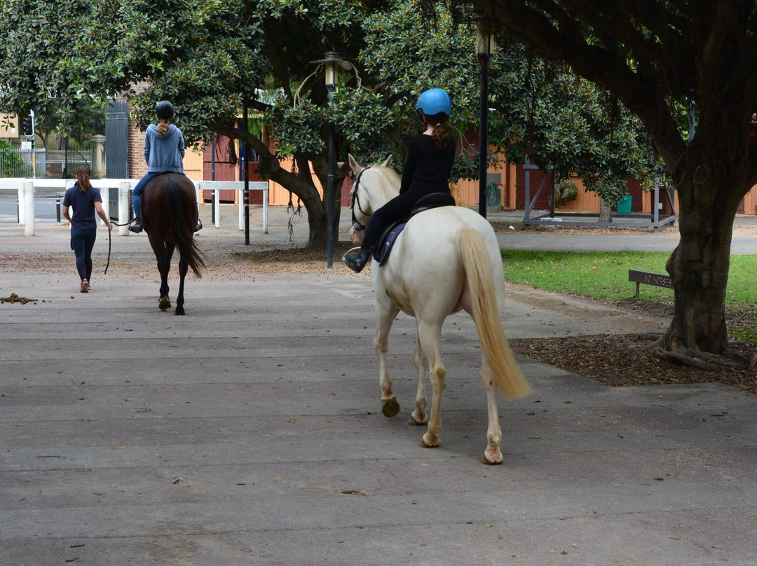Eastside Riding Academy-悉尼必去景点