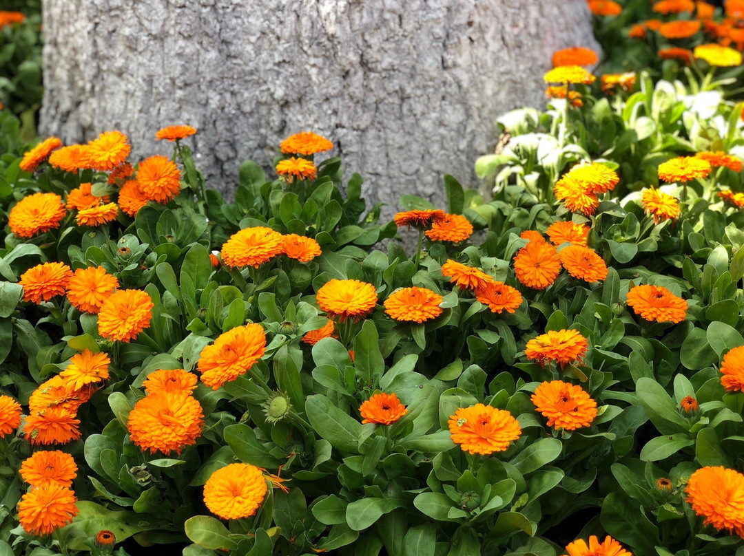 淮安周恩来纪念馆-淮安市必去景点