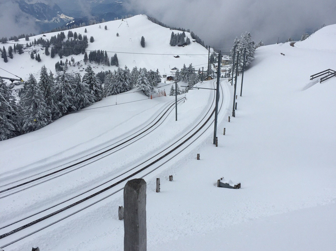Rigi Scheidegg-Burggeist-Gersau必去景点