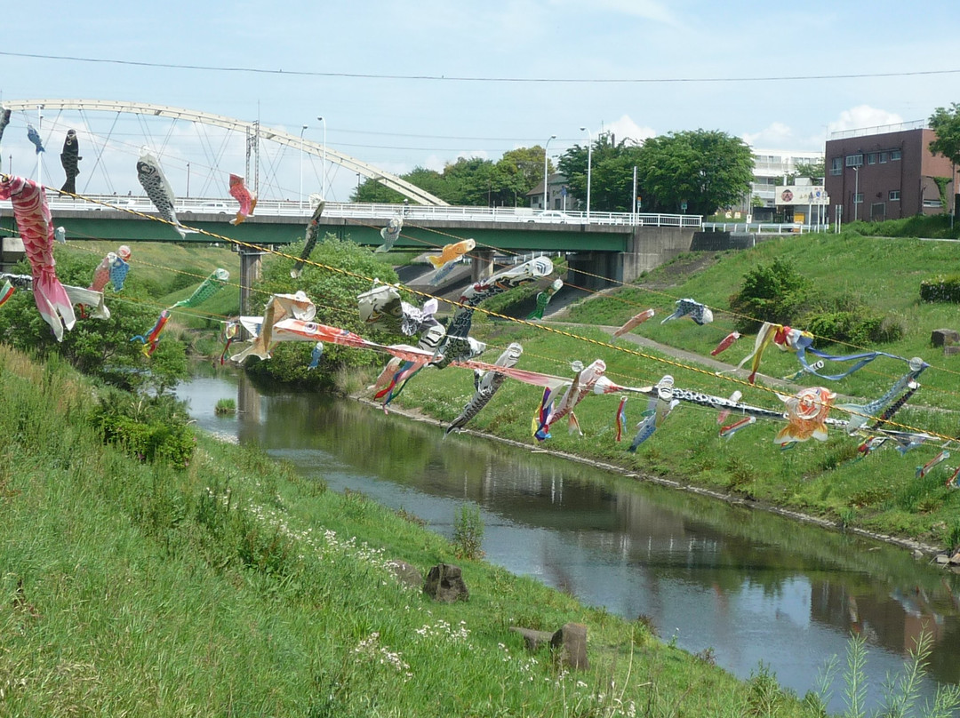 Tone Canal-流山市必去景点