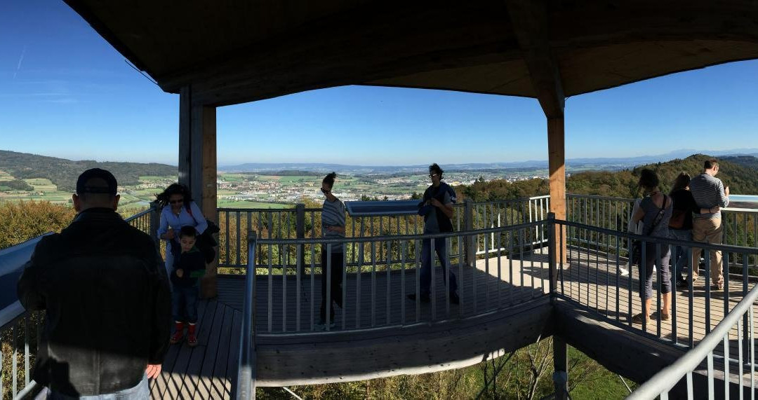 Aussichtstrum Altberg-Dällikon必去景点