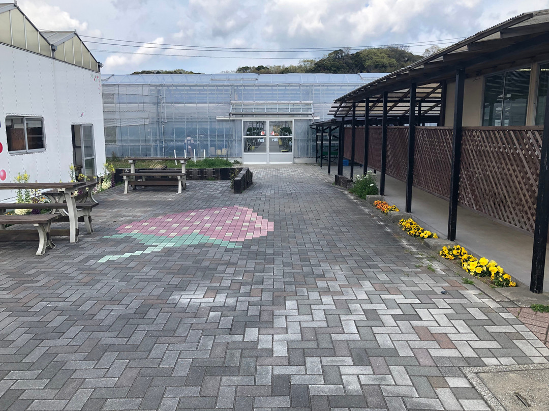 Futtsu Aqua Farm-富津市必去景点