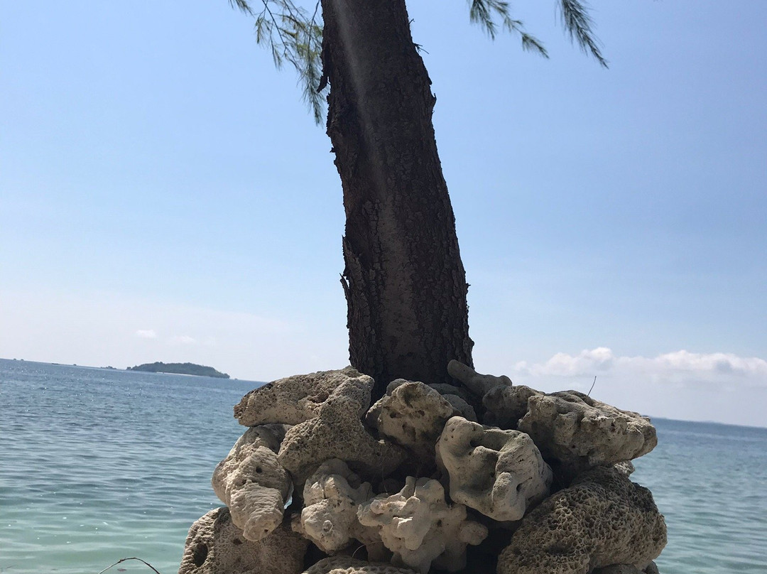 White Sands Island景点图片