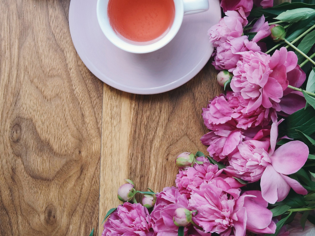 East of Eden Spa-棕榈海滩必去景点