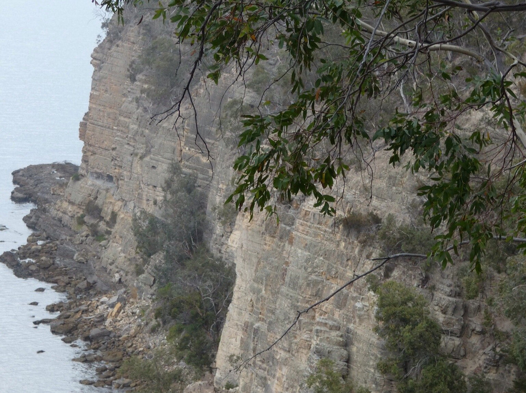 Alum Cliffs Track景点图片