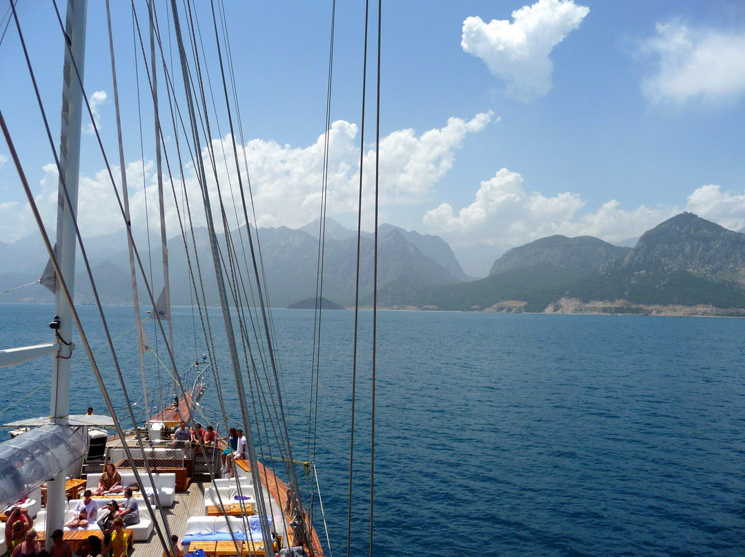 Mobydick Catamaran-Daily Tours景点图片