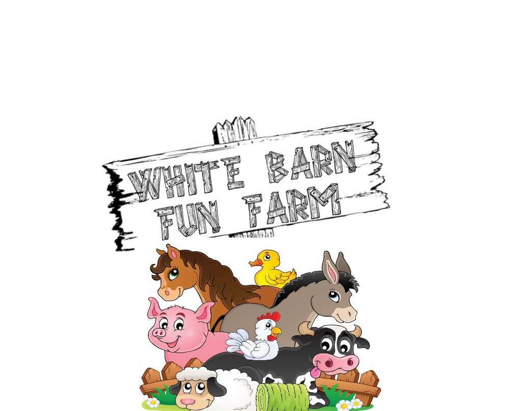 White Barn Fun Farm景点图片