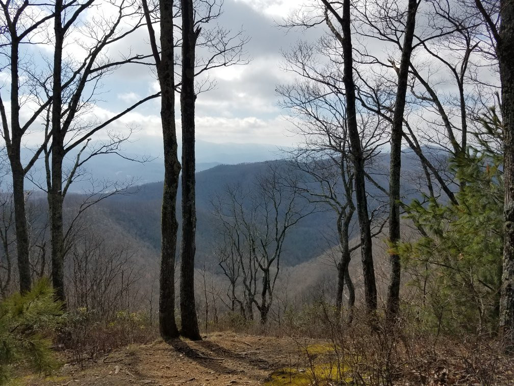 Buffalo Mountain Park-约翰逊城必去景点