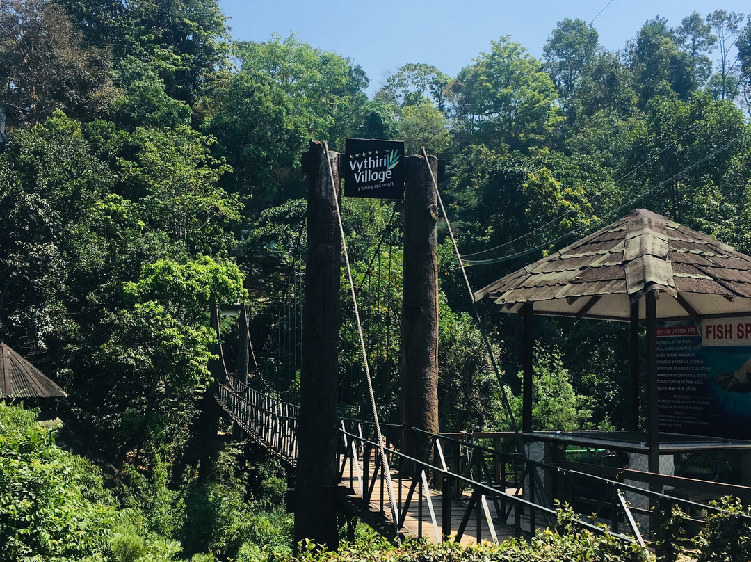 Vythiri Village Resort主图