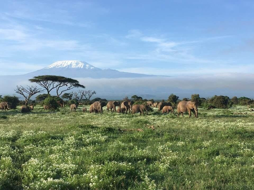 Chap Chap Tours-Dar es Salaam必去景点