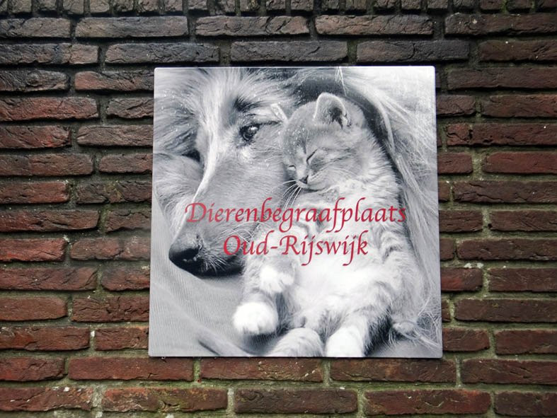 Begraafplaats Oud-Rijswijk-赖斯韦克必去景点