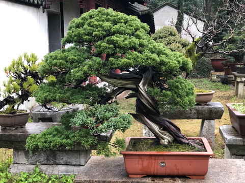 Suzhou Melody-苏州市必去景点