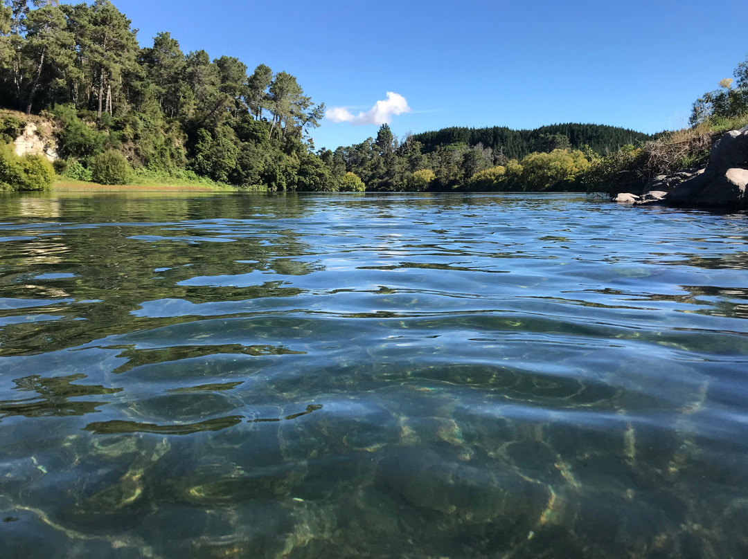 Taupo Kayaking Adventures景点图片