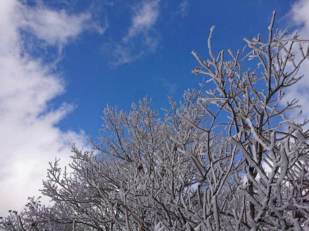 UFO Line-伊野町必去景点