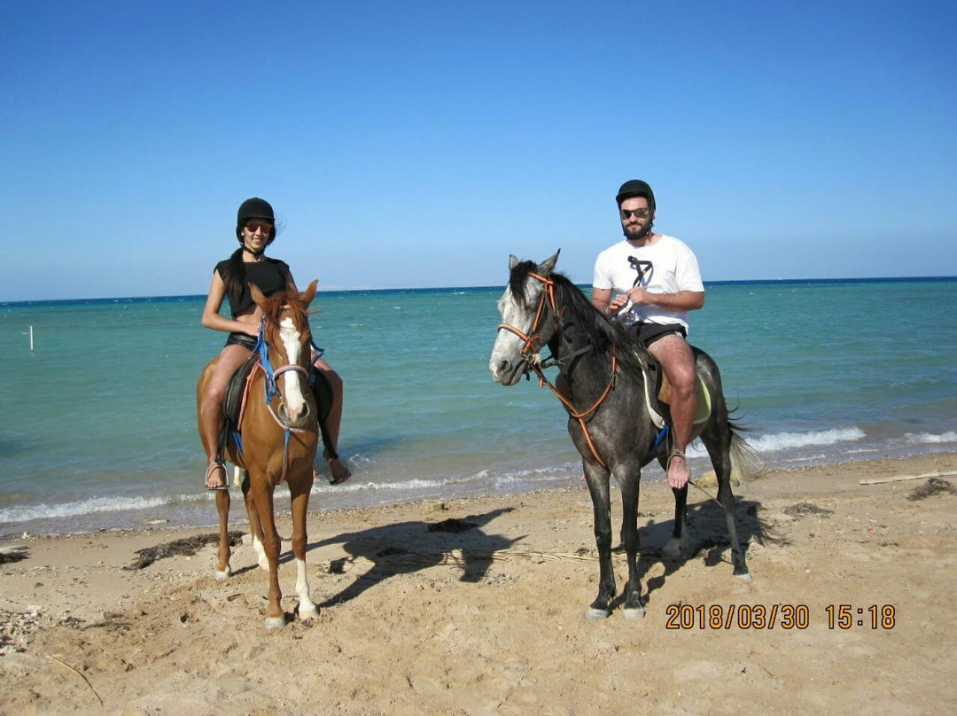 Horse Riding Hurghada-赫尔格达必去景点