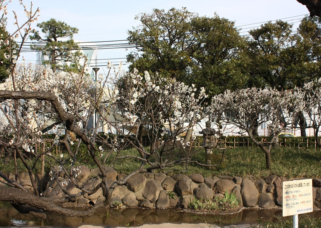 Seiseki Kamata Umeyashiki Park景点图片