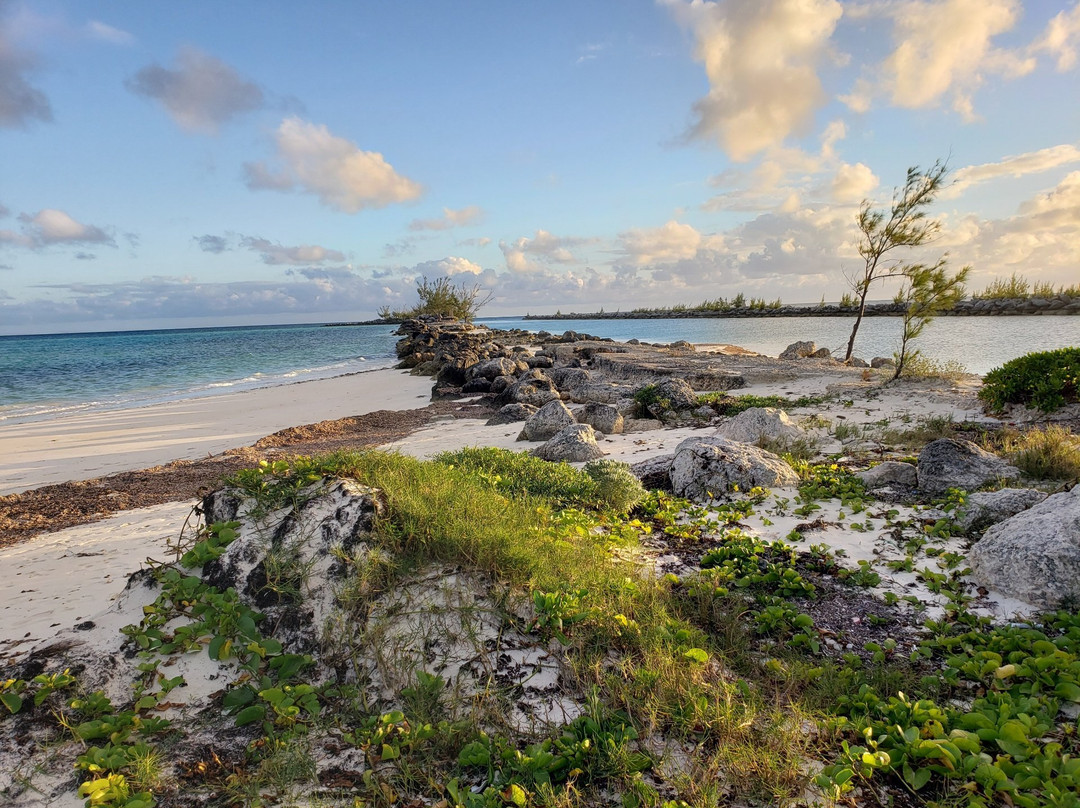Grand Bahama Taxi Company-弗里波特必去景点