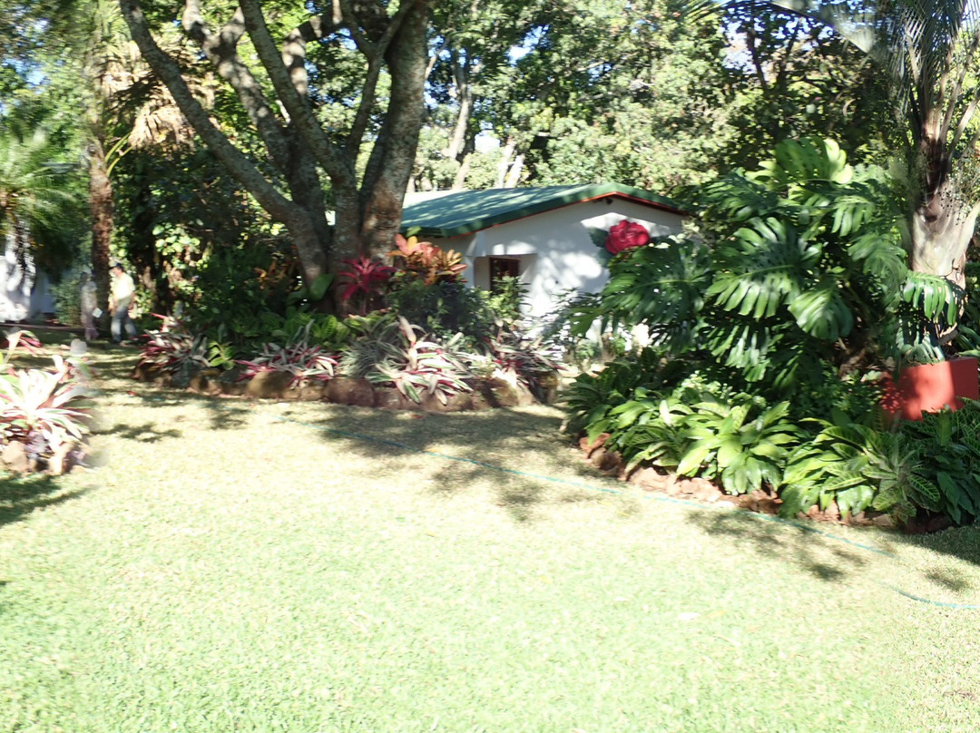 Hotel La Rosa de America主图