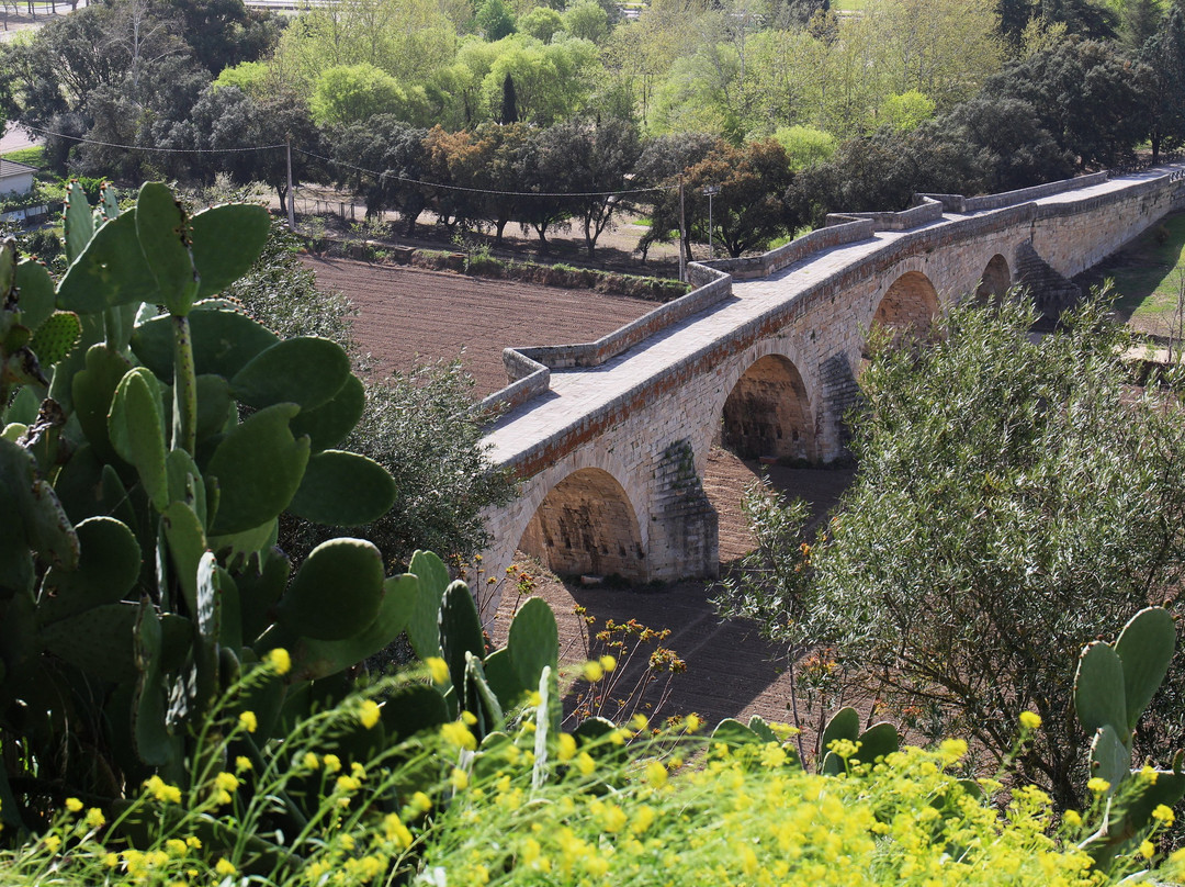 Puente Viejo景点图片