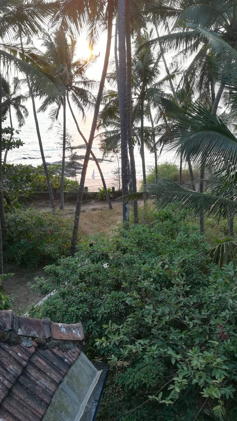 Ezhara Beach House-portrait