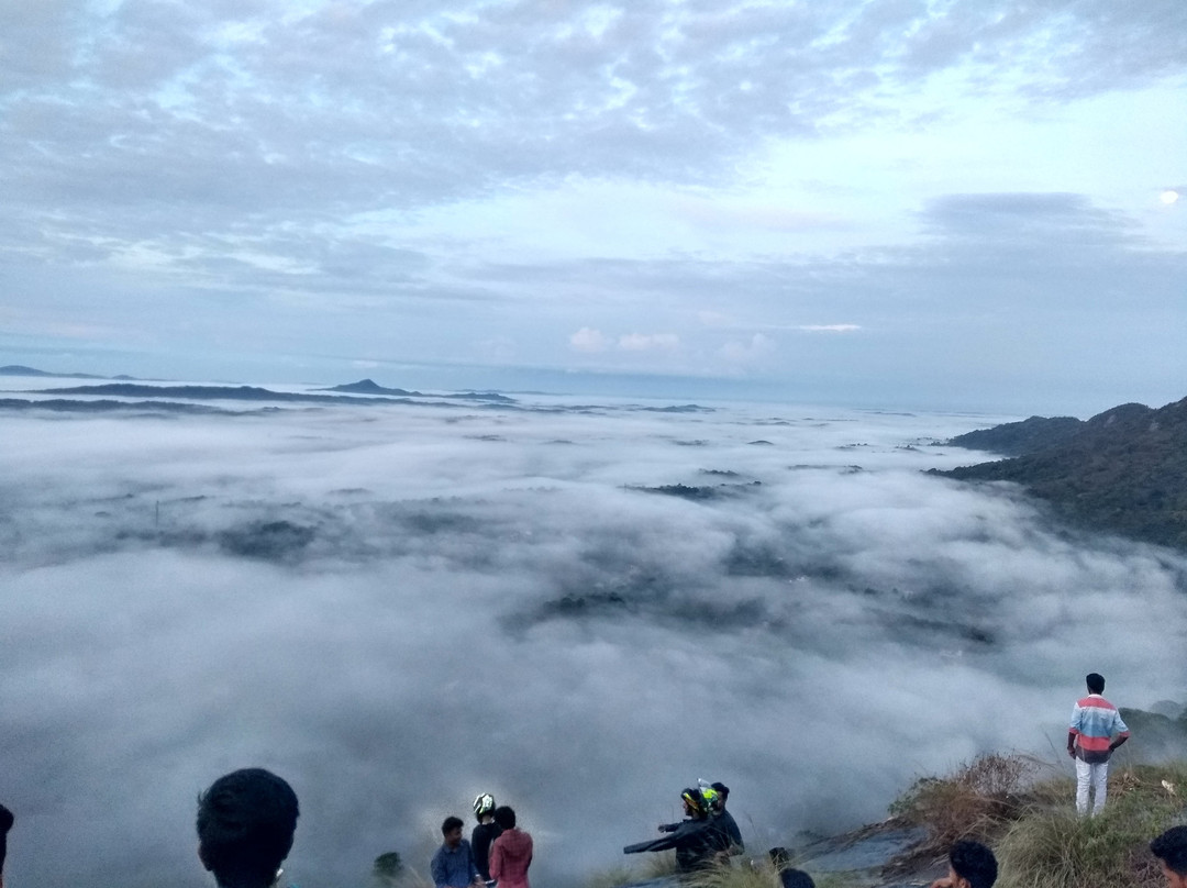 Holidays 2 Kerala - Private Day Tours景点图片