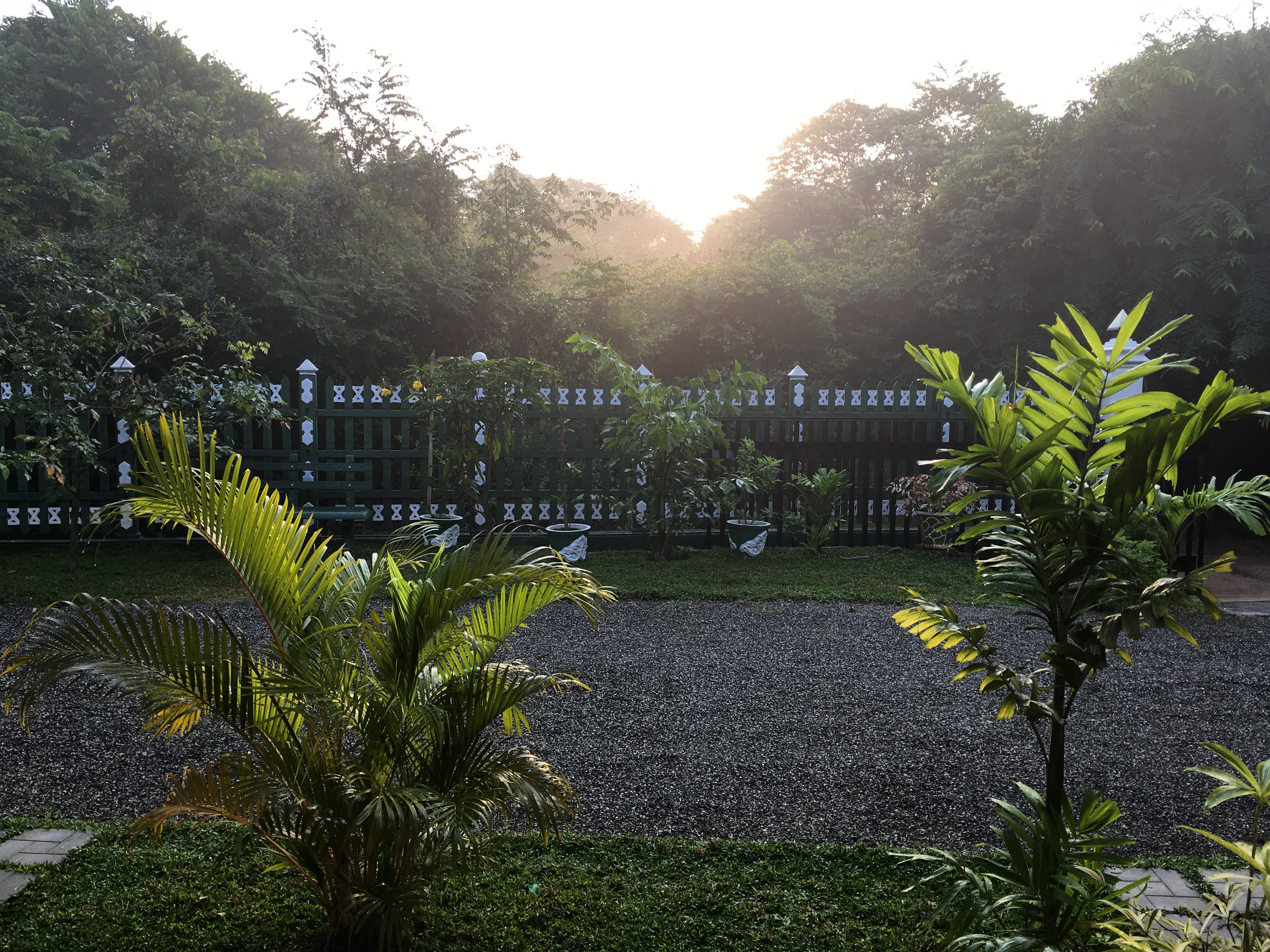 Jungle View Guest-官方