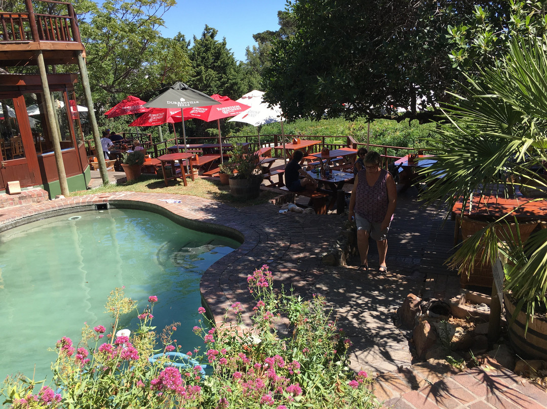 Monkey Valley Resort主图