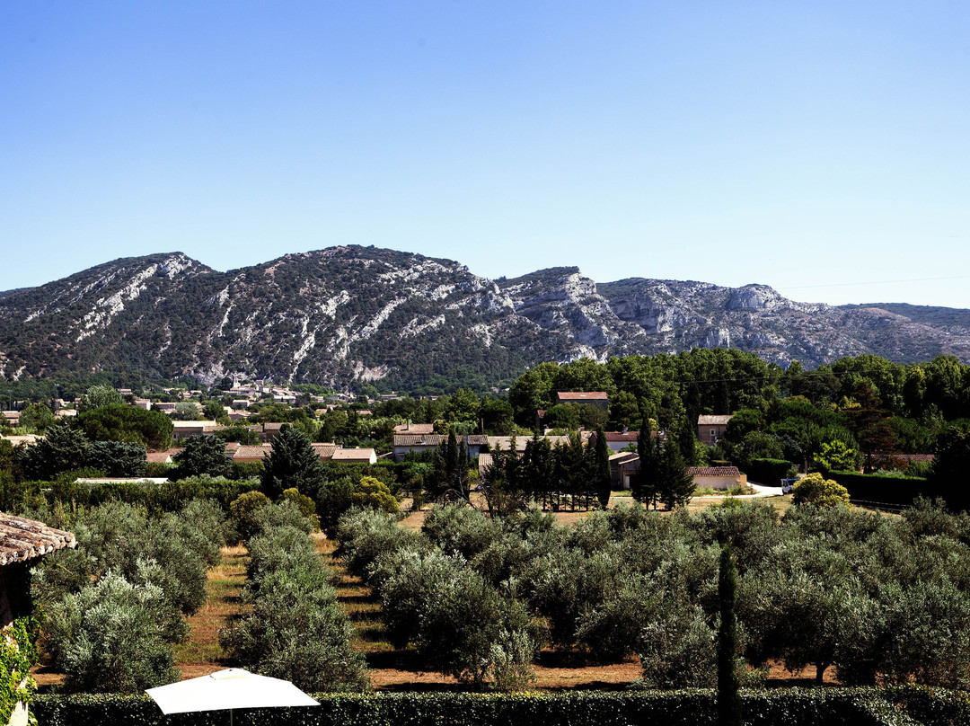 Domaine de Canfier主图