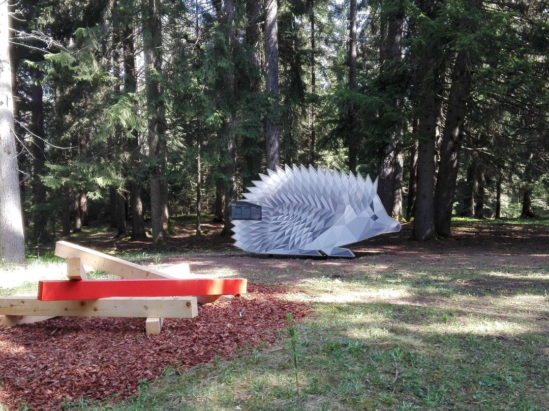 Wald-Wild-Wunder-Weg-Renon必去景点