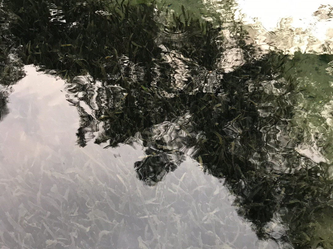 Laguna Ojo de Agua-欧瑞扎巴必去景点