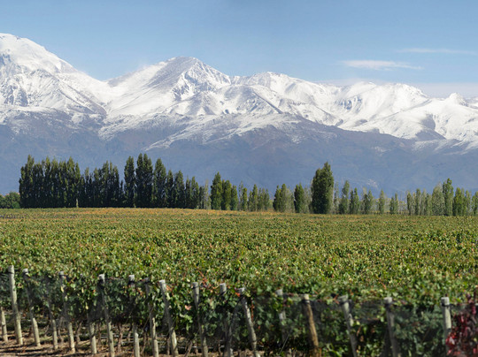 Chef Ricardo's Kitchen-Clyde必去景点