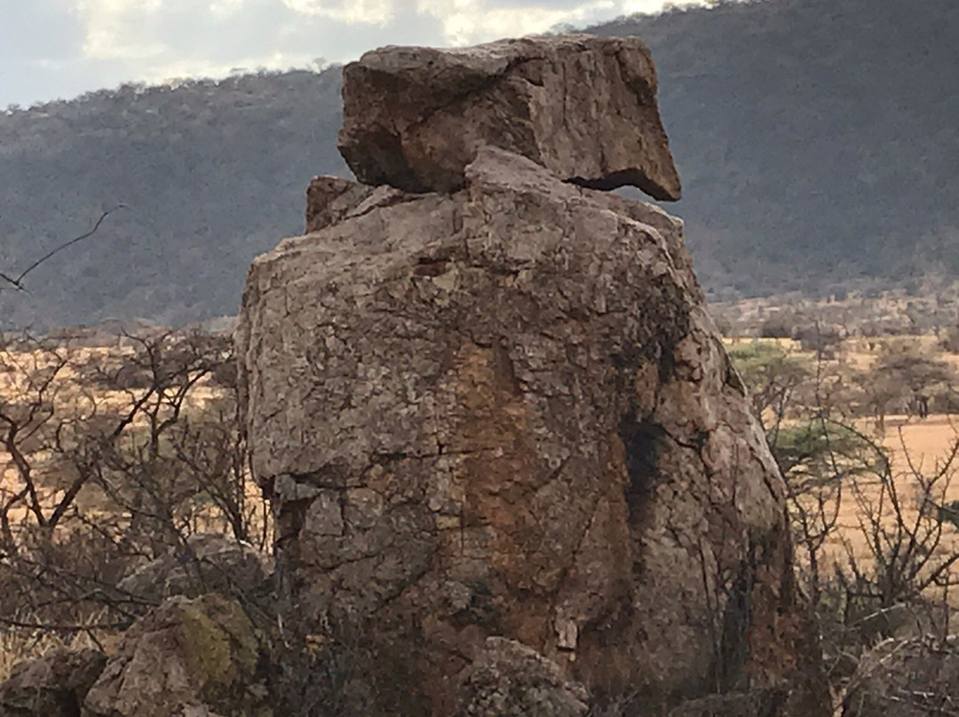 Kalama Community Conservancy-Samburu District必去景点