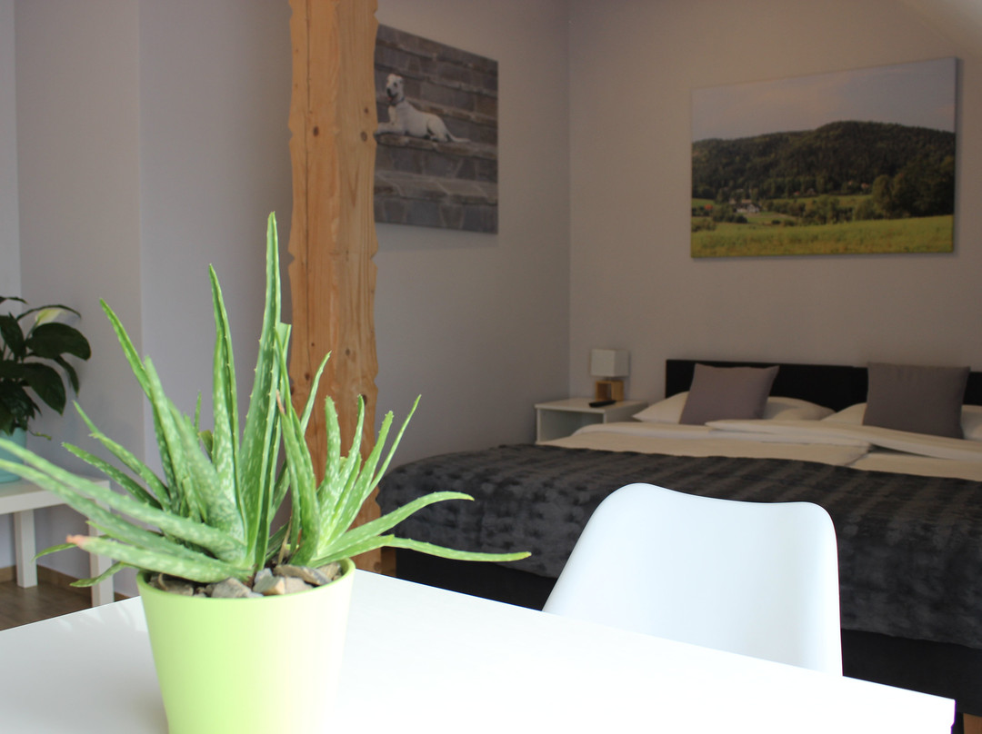 Guest House Dwor Bysina