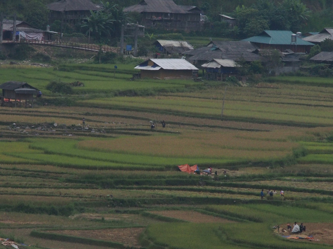 Lim Mong Village景点图片