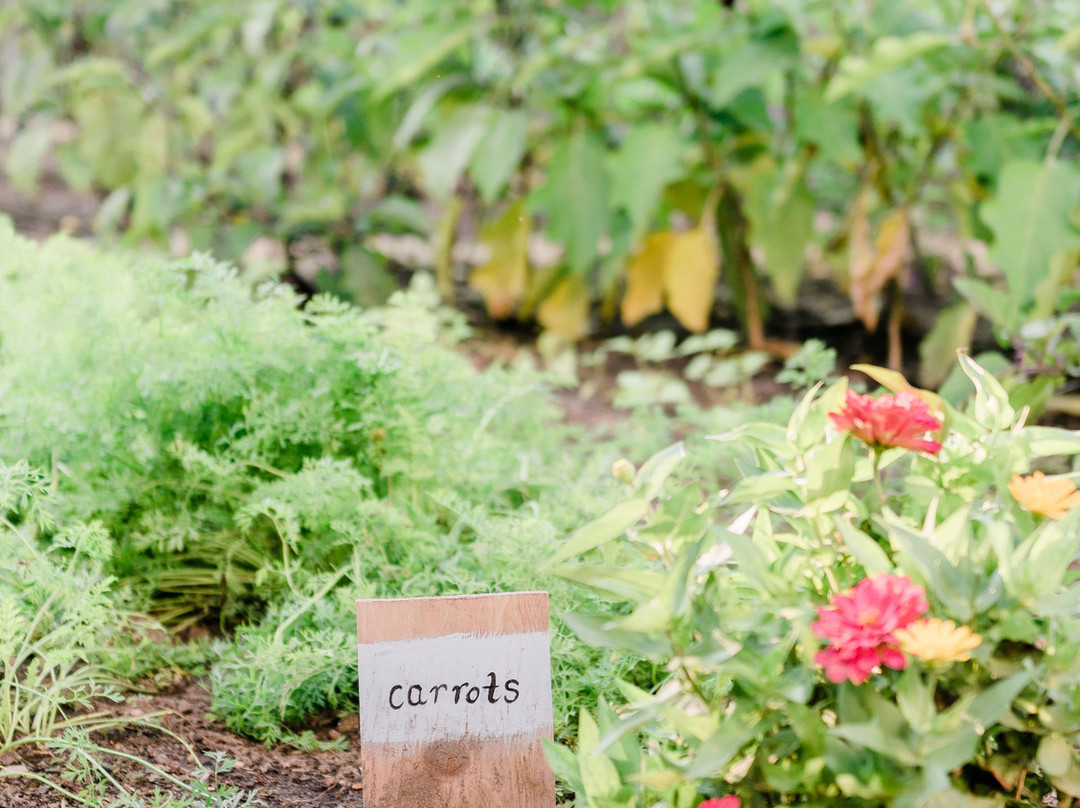 The Winsor House主图