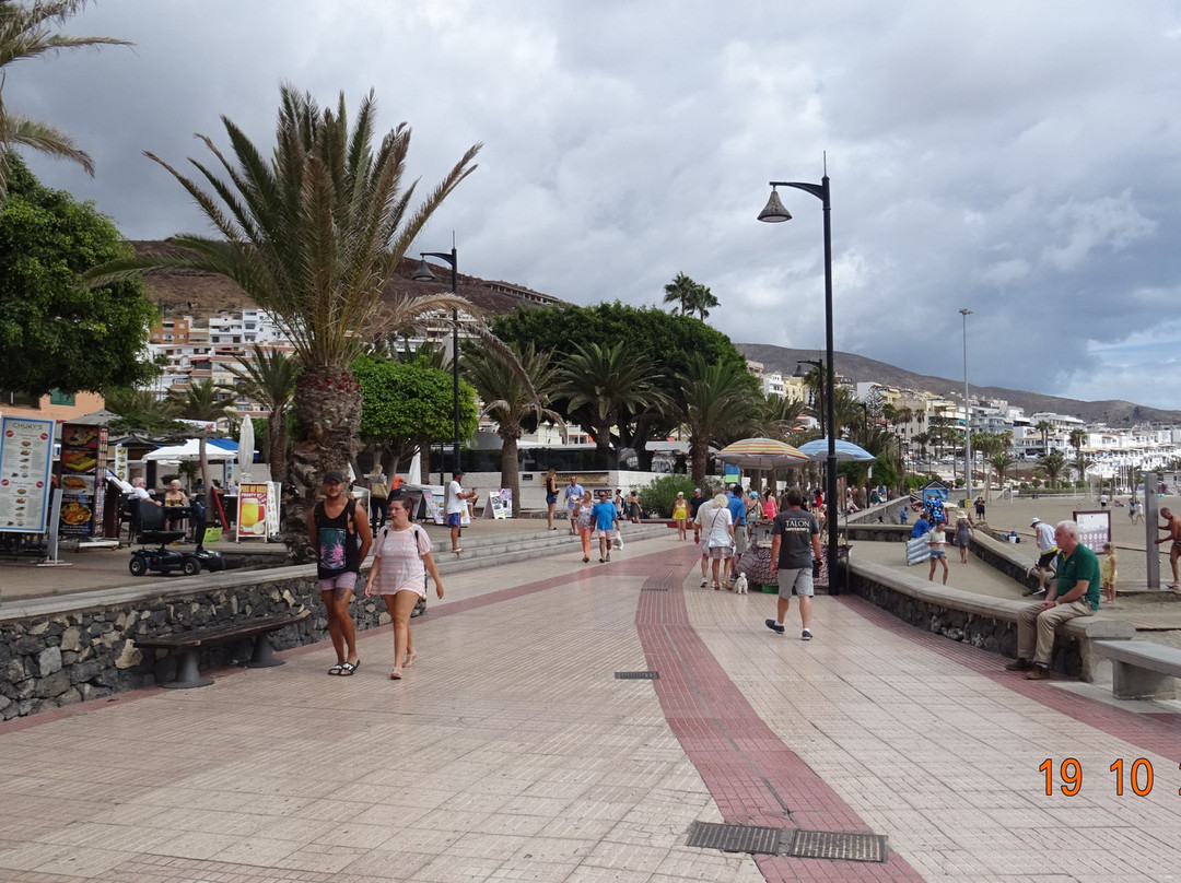 Port of Los Cristianos景点图片