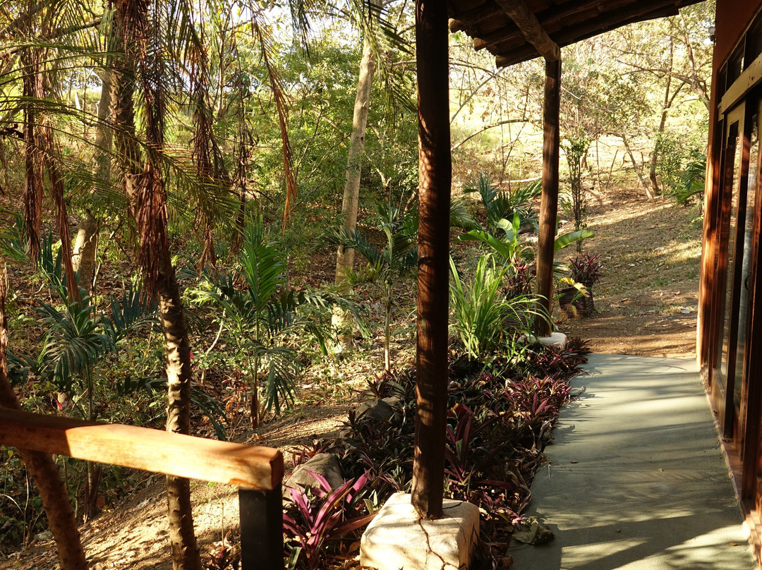 Villas Punta India主图